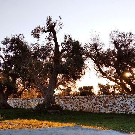 Villa Trullo Bianco Ulivo à Ostuni Extérieur photo